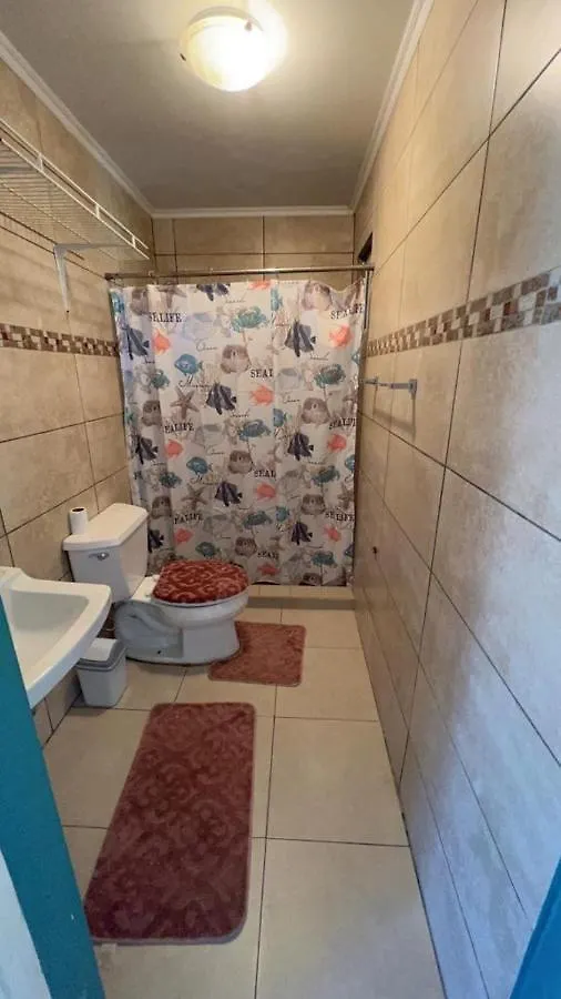 Comodo Apartamento Noord 0*,